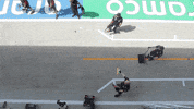 Ver Red Bull GIF by Red Bull Racing Honda