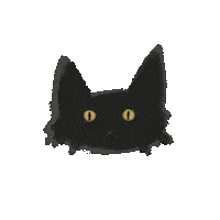 studiopapercat sleepy zzz blackcat papercat Sticker