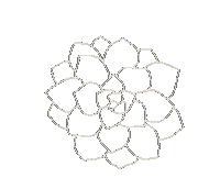 Plant Sticker
