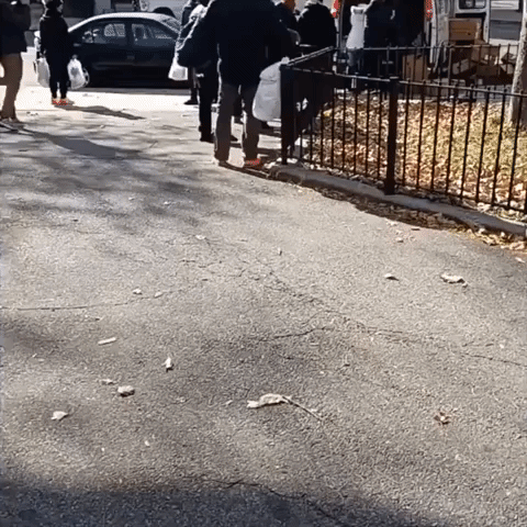'This Is Why I Love My Hood': New Yorkers Wait for Free Thanksgiving Turkeys