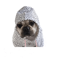 frankieandfriends shop shop now hoodie frenchie Sticker