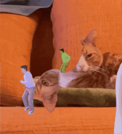 Cat Running GIF