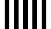Goalkeeper Goalie GIF by SK Sturm Graz