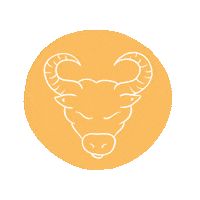 Birthday May Sticker by Experience Kissimmee