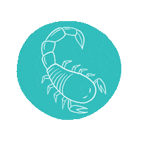 Birthday Stars Sticker by Experience Kissimmee