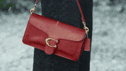 Happy Holidays Holiday Season GIF by Coach