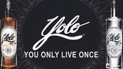 Tis The Season Snow GIF by Yolo Rum