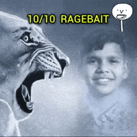 1010 Ragebait GIF