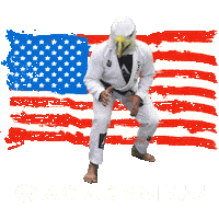 Grappling Bald Eagle Sticker by Academy Jiu-Jitsu