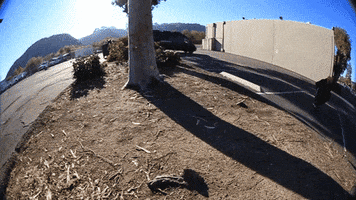 blackplaguebrewing craft beer beer cans beer pour black plague GIF