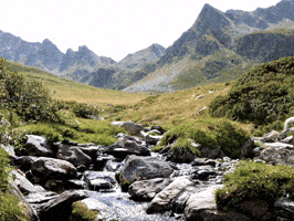 How Are You Hello GIF