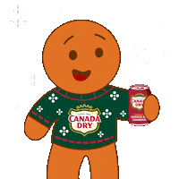 Sponsored gif. An illustrated gingerbread cookie in a Canada Dry sweater, toasting with a can of Canada Dry Cranberry Ginger Ale. White snowflakes move slowly behind them. 