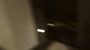 Model Dancing GIF by Lilly Singh