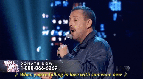 adam sandler when youre falling in love with someone new GIF by Night of Too Many Stars HBO
