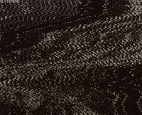 tales from the crypt GIF