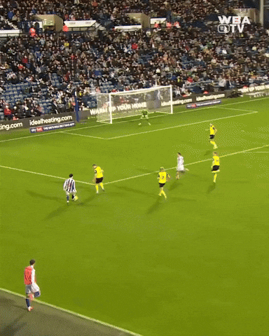West Brom Championship GIF by West Bromwich Albion