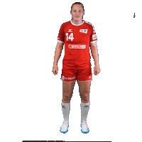 Schweiz Sticker by Swiss Handball