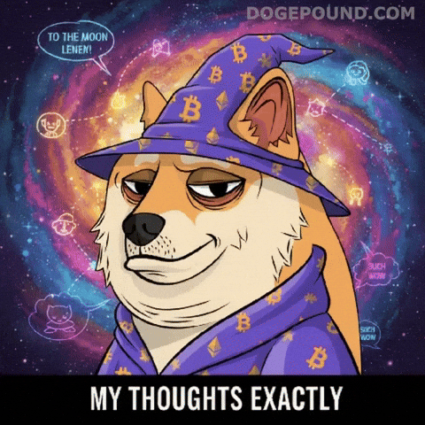 To The Moon Agree GIF by Doge Pound