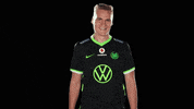 E Sports Sport GIF by VfL Wolfsburg