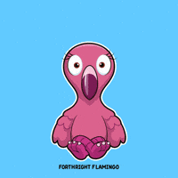 Flamingo GIF by VeeFriends
