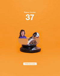 save them all best friends GIF by Best Friends Animal Society