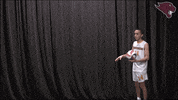 Mvb GIF by CUCougars