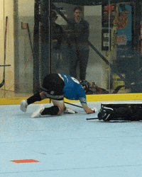 usaballhockey nbhl ballhockey GIF