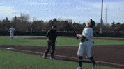 EMUAthletics emueagles emuathletics emubaseball GIF