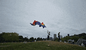 Flag Raising Gay GIF by AceArchive