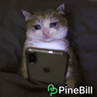 Sad Cat GIF by PineBill