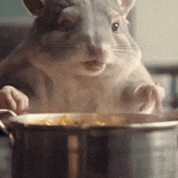 Curry Sue GIF