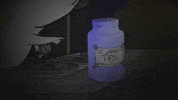 season 1 cats GIF by Animals
