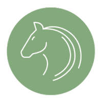 Happyhorse Sticker by NOVAFON