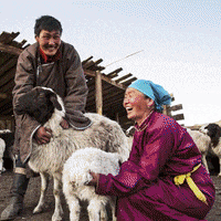 United Nations Worldfoodday GIF by FAO