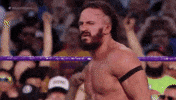 wrestlemania 33 wrestling GIF by WWE