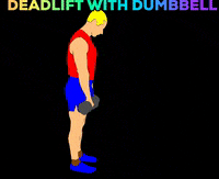 Workout Gym GIF