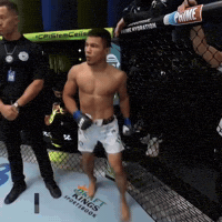Ufc Uzbekistan GIF