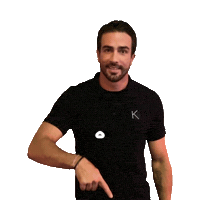 Norton Sticker by Studio Kore