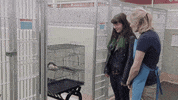 Scheming Season 7 GIF by Portlandia