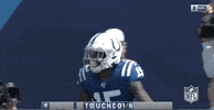 Regular Season Football GIF by NFL