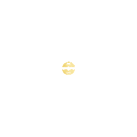 Gold Success Sticker by THE CIRCLE
