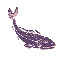 tigremorado tigre morado cebicheria tigre morado Sticker