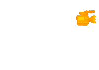 AmityStudio film action camera amity studio Sticker