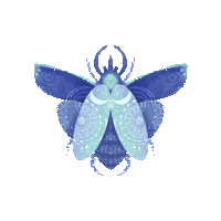 Illustration Magic Sticker