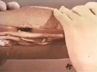 giphy.gif