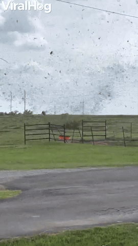 Dust Devil Disturbs Eerily Calm Day