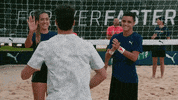 high five formula 1 GIF by Red Bull Racing