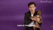 Spider-Man Marvel GIF by BuzzFeed