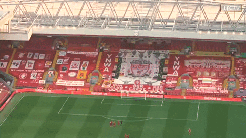 Football Stadium GIF by Liverpool FC
