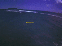 Magnum Pi GIF